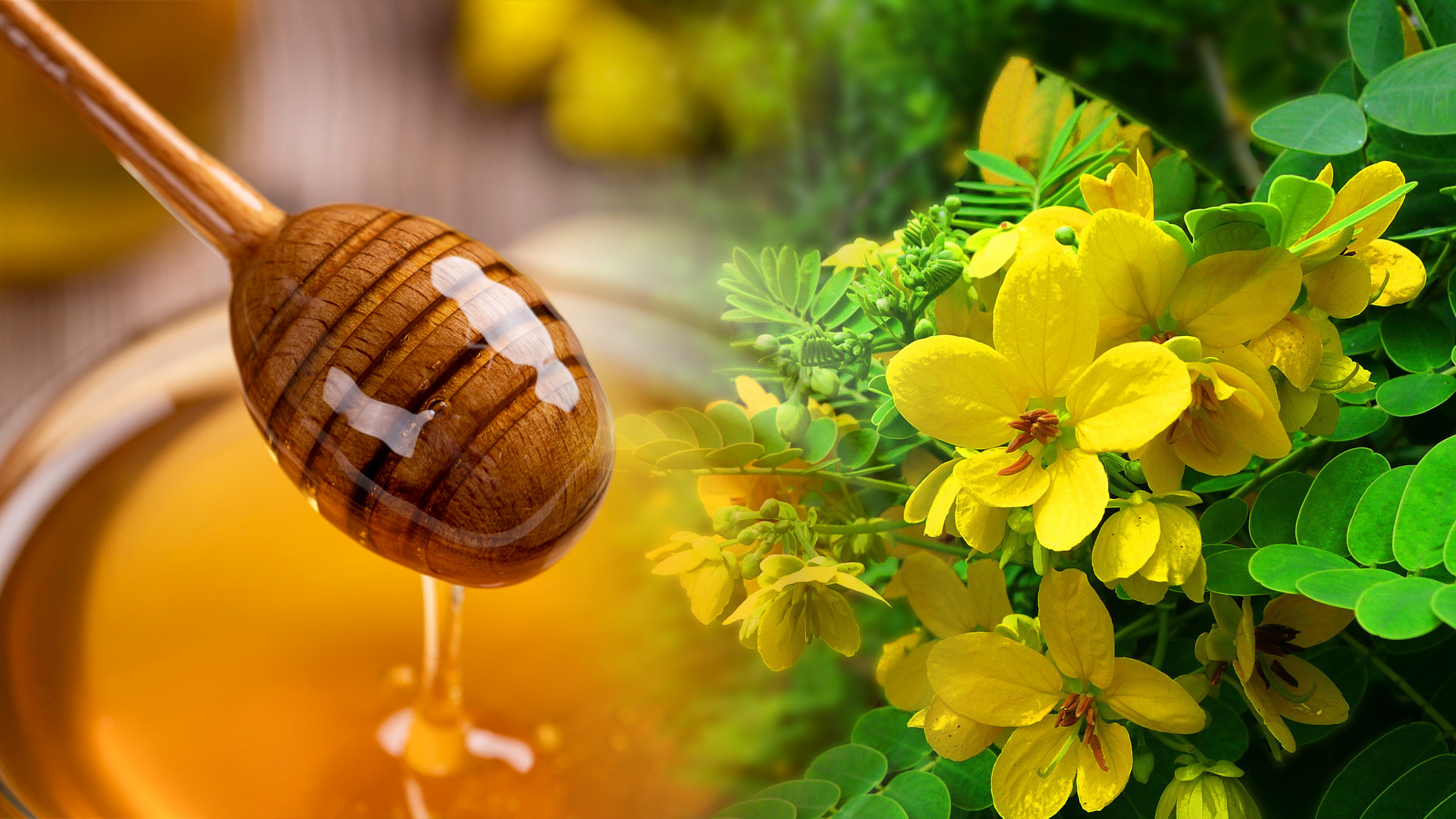 蜂蜜幹粉的(de)主要(yào)成分(fēn)